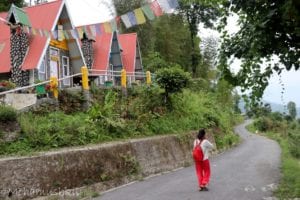 pabung homestay