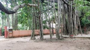 banalakshmi shantiniketan
